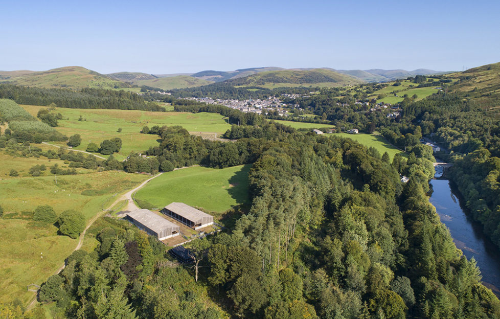 Thousands of acres of forest land put up for sale Scottish Field