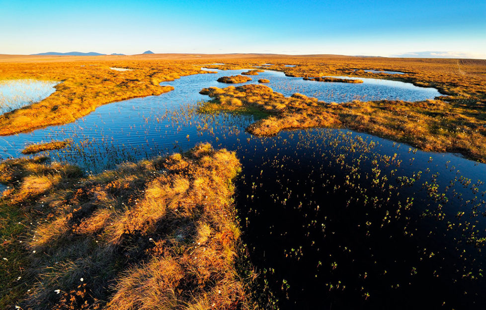 Enjoy Scotland's natural beauty this World Wetlands Day - Scottish Field