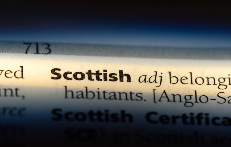 insult order english translation insult order english translation