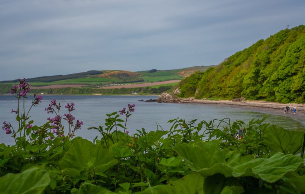 Property market boost for South Ayrshire Scottish Field