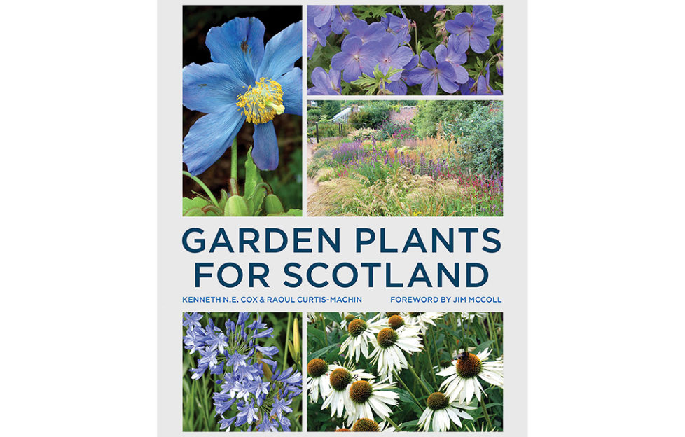 A gardener's guide to growing in Scotland Scottish Field