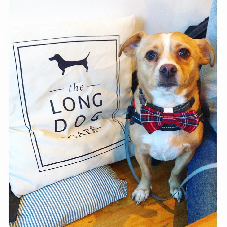 Ten restaurants you must try in the north east Scottish