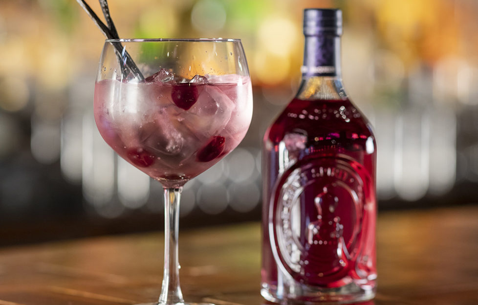 McQueen Gin unveils new flavour in store exclusive Scottish Field