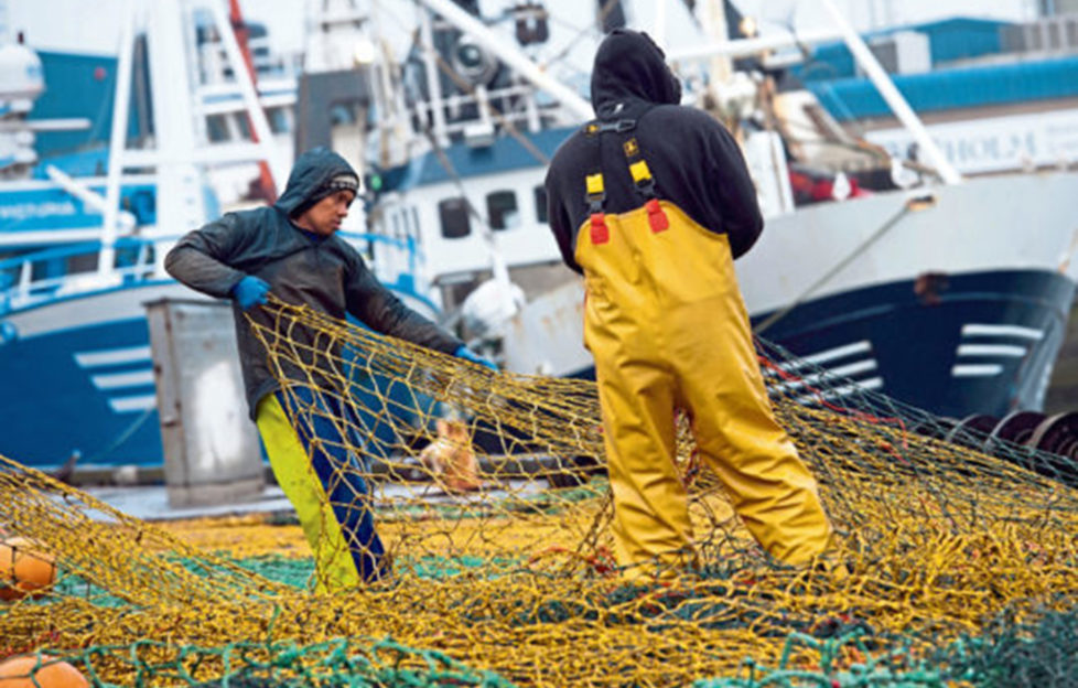 A seafood special to support Scotland's fishermen - Scottish Field