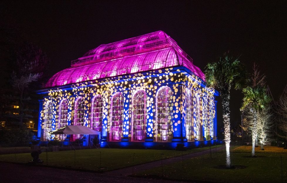 Christmas at the Botanics opens for third year Scottish Field