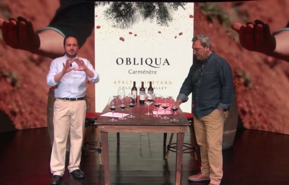 Carmenere is the star of Ventisquero's new Obliqua wine