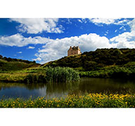 FentonFeatured Featured Image for Fenton Tower