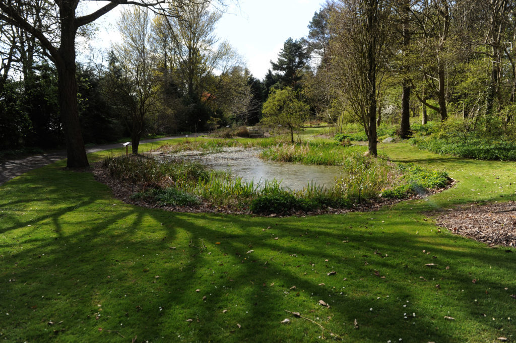 Come outside: Dundee's best parks and green spaces for when you want a ...