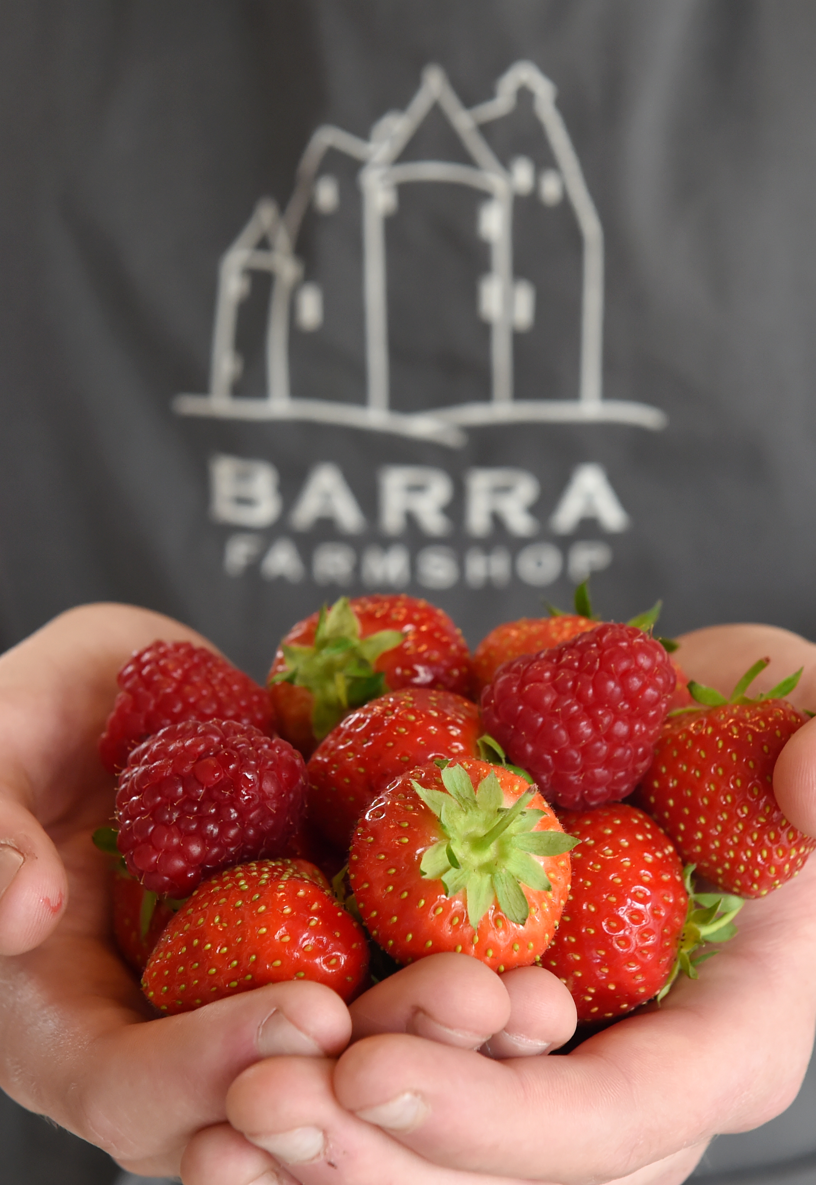 Aberdeenshire business Barra Berries sees fruits of its labours with ...