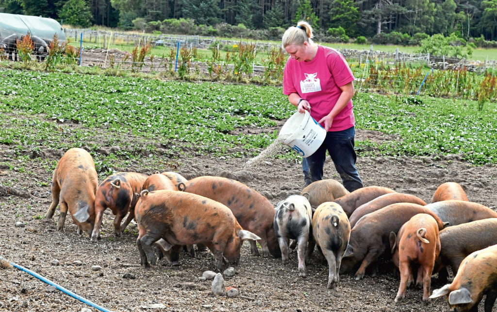 Aberdeenshire farm to host online tour Society