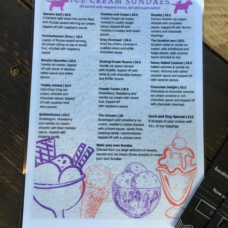 Aberdeen's new petfriendly cafe launches an ice cream menu Society