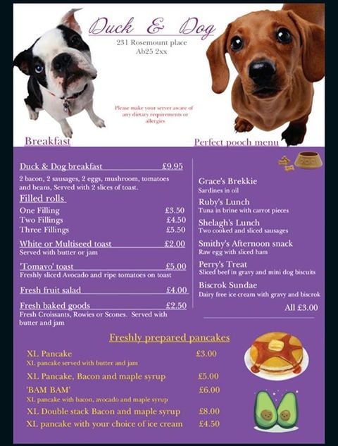 Aberdeen Cafe Releases New Menu With Dog Friendly Dishes Society