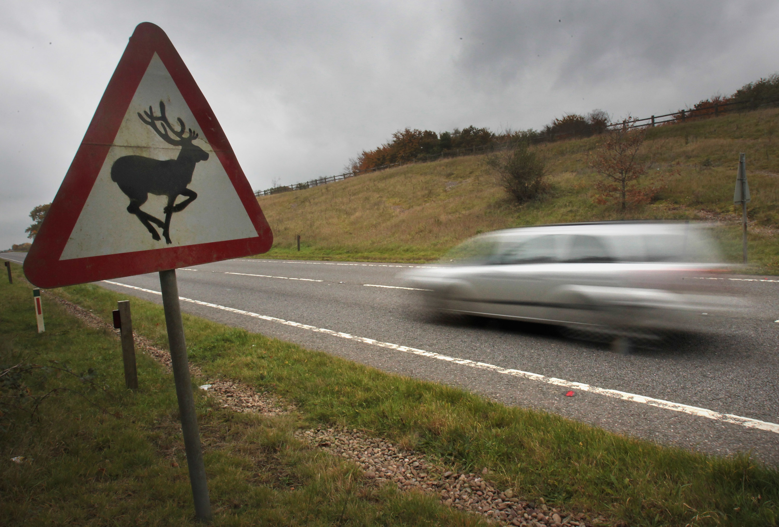 Motorists are being warned to take care (Matt Cardy/Getty Images)