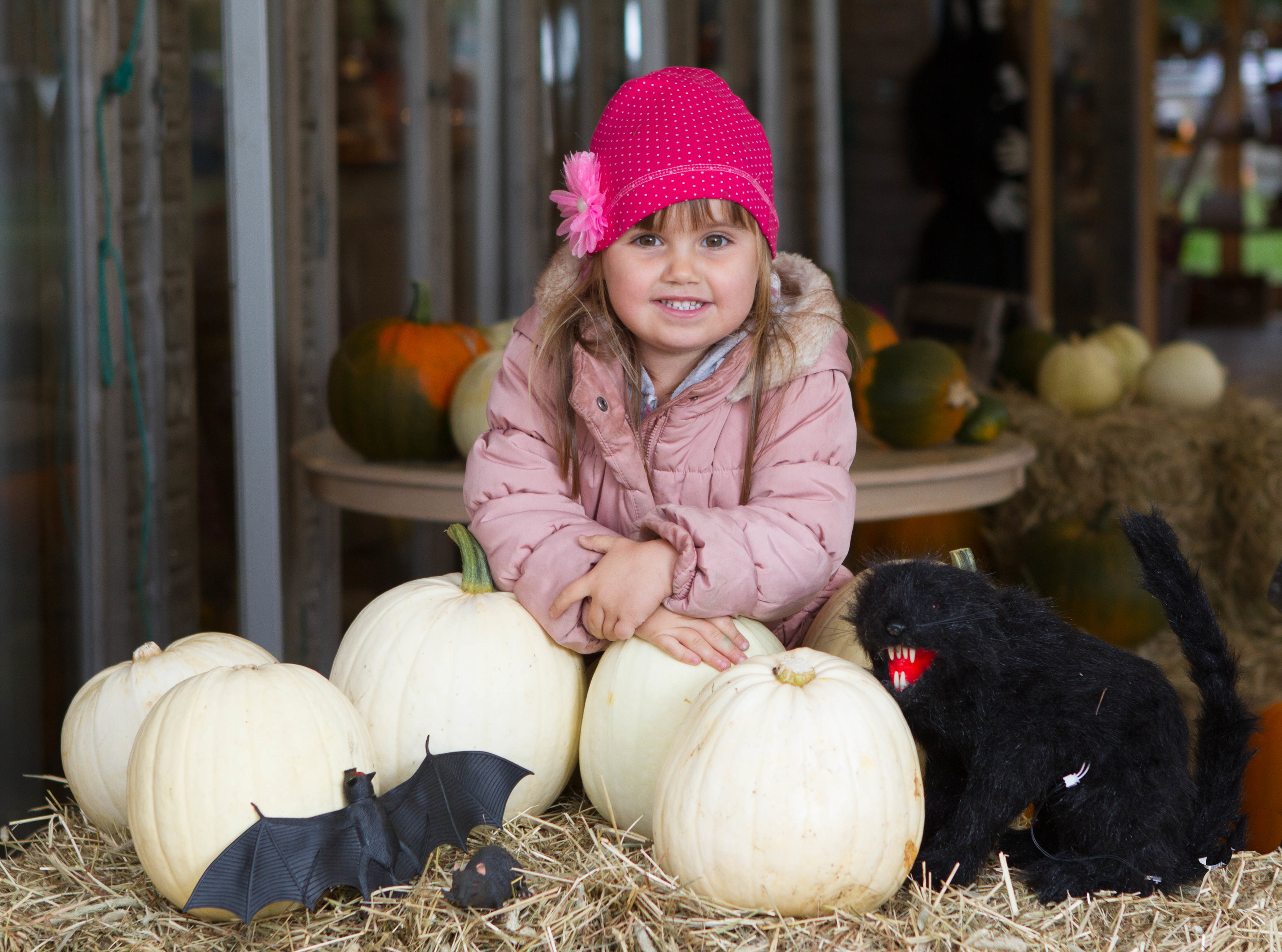 White Pumpkins at Cairnie Fruit Farm.