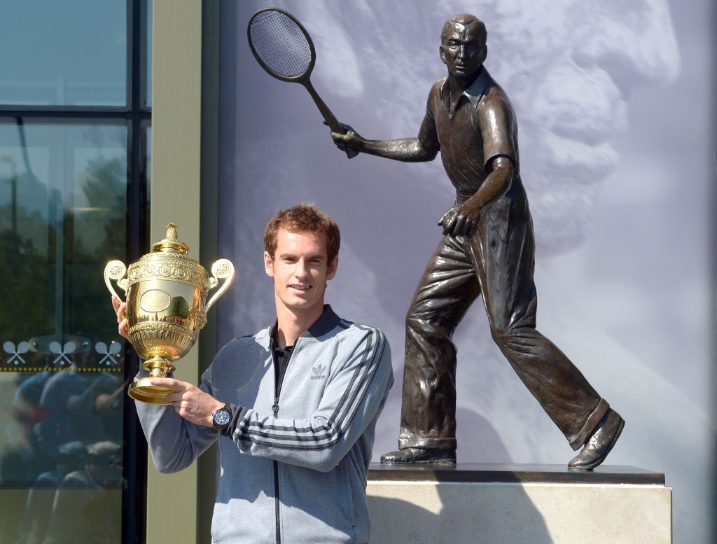 Andy Murray: Wimbledon champion (Adam Davy / PA Archive)