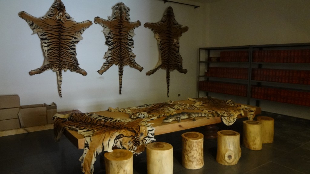 Tiger skins for sale (Environmental investigation Agency)