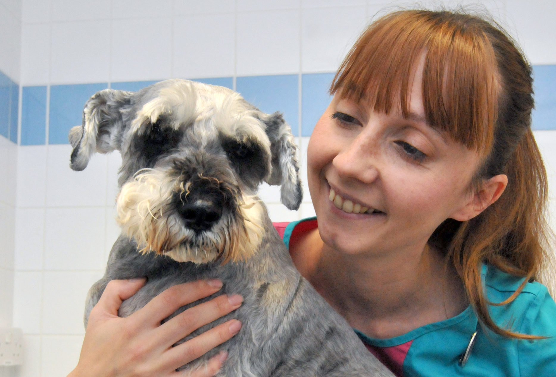 Suki with PDSA Vet Nurse Claire Urwin (Ian McClelland)