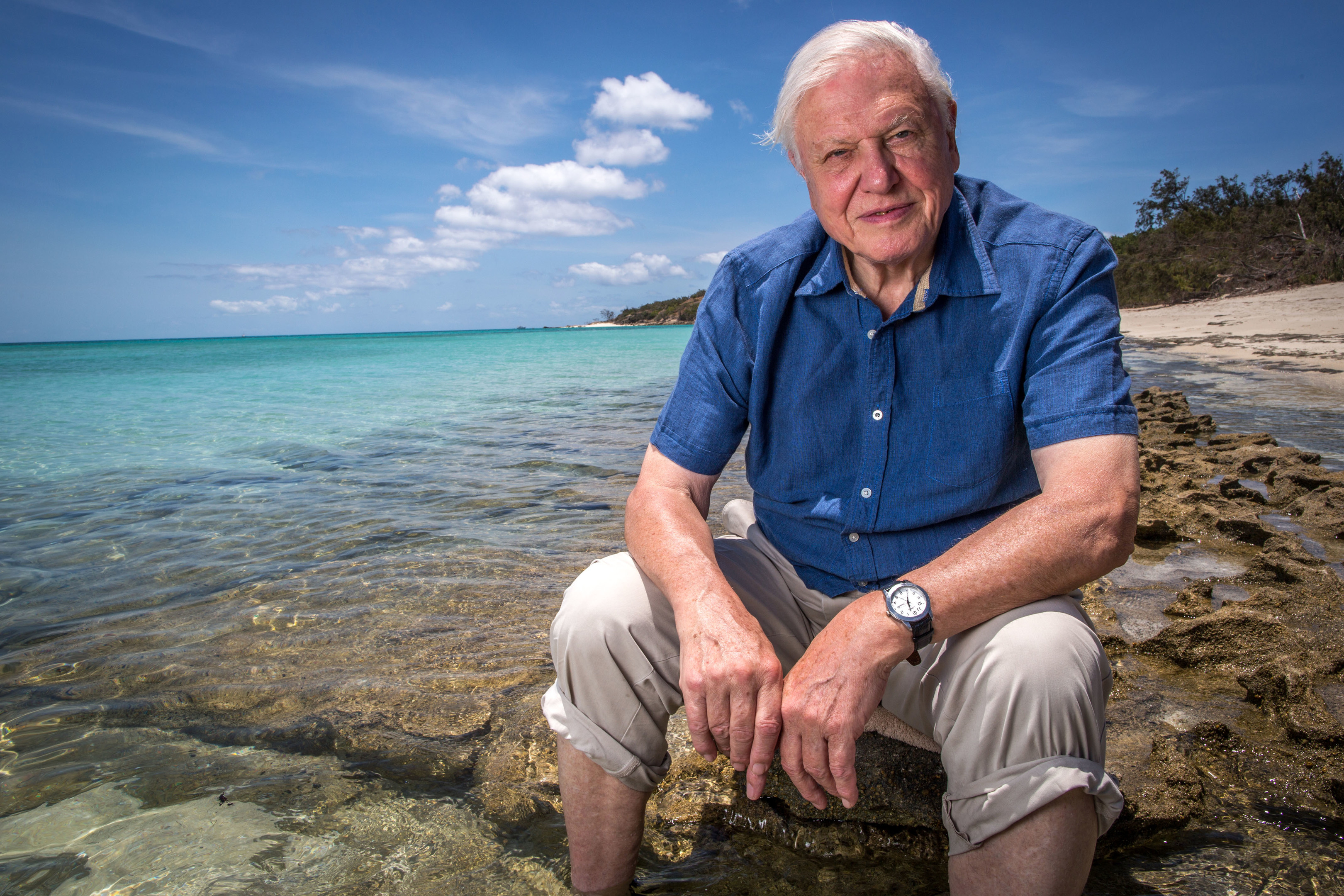 David Attenborough (BBC / Atlantic Productions)