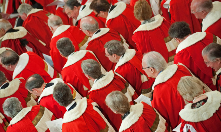 Members of the House of Lords.