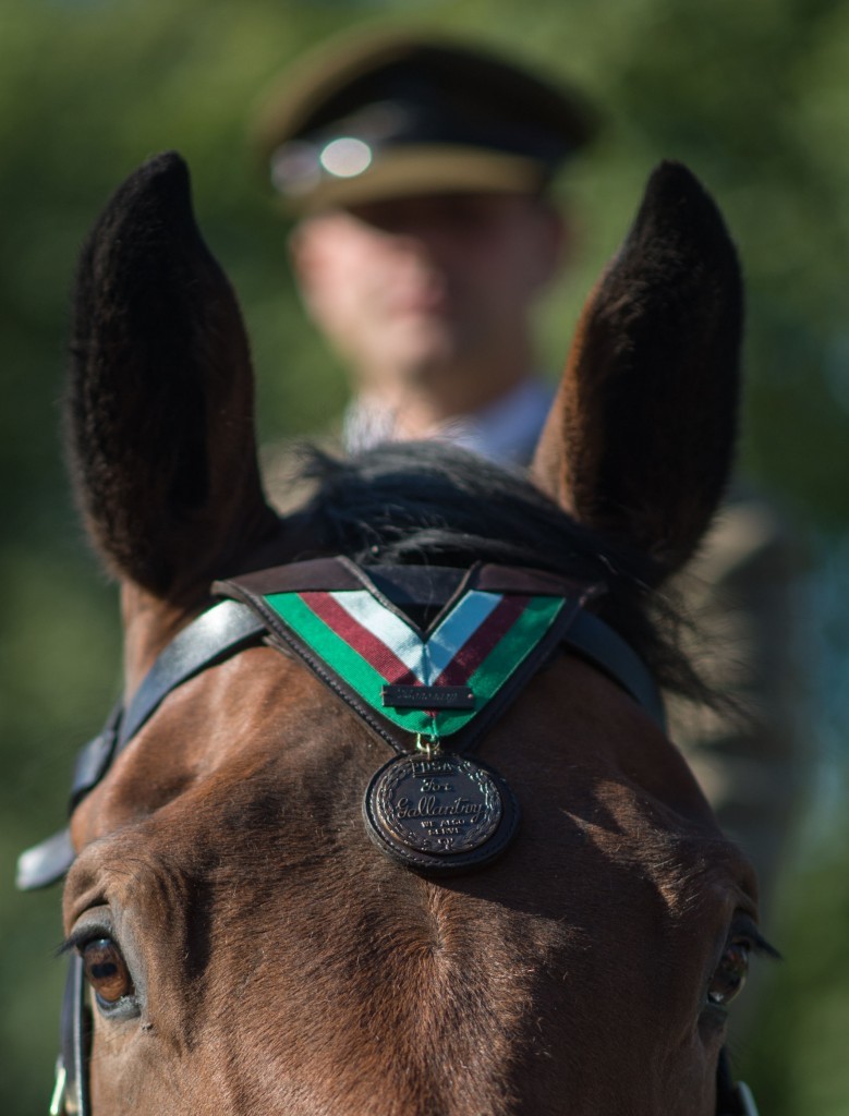 Galaxy receives the medal on behalf of WWI war horse Warrior