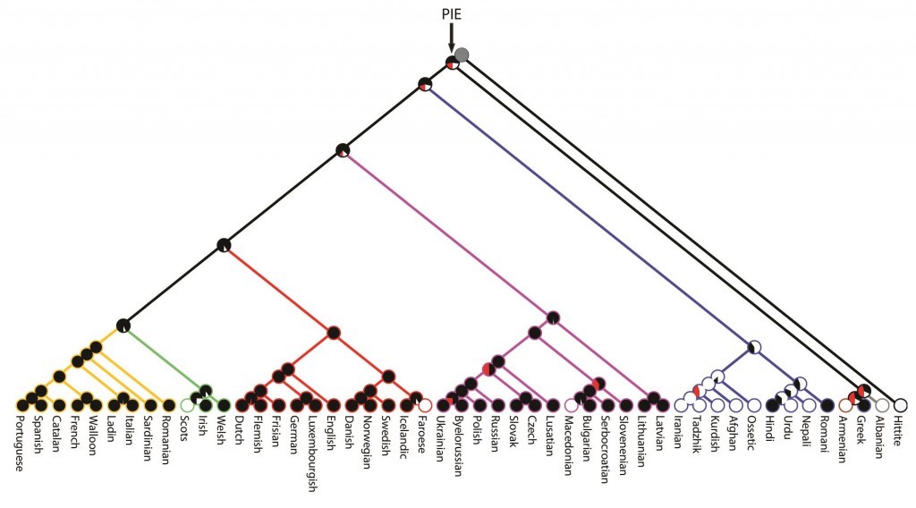 The history of a tale plotted on the Indo European language tree (Durham University/PA Wire)