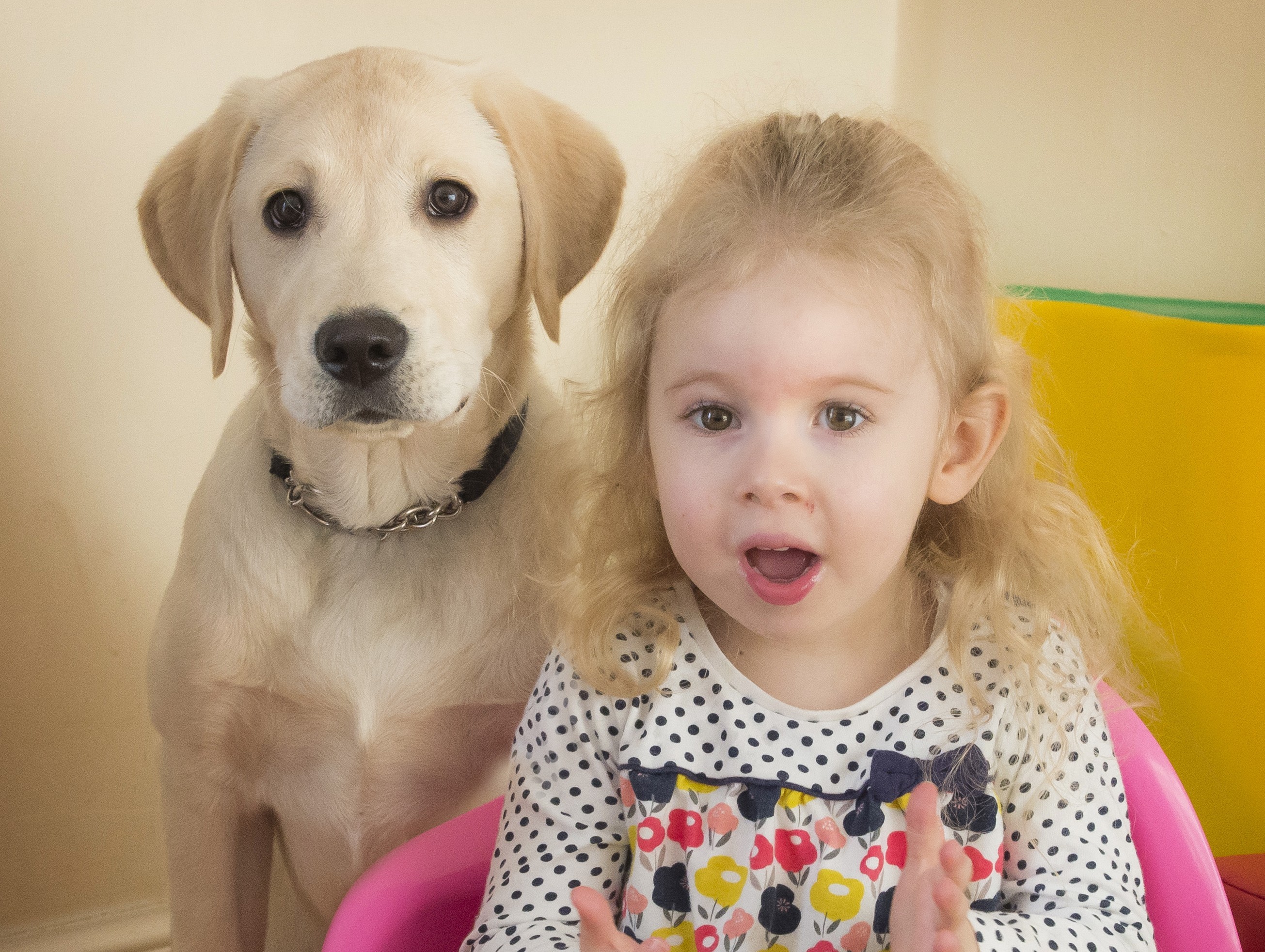 Alyssa and Harvey the dog at their home in Polmont (Alan Peebles)