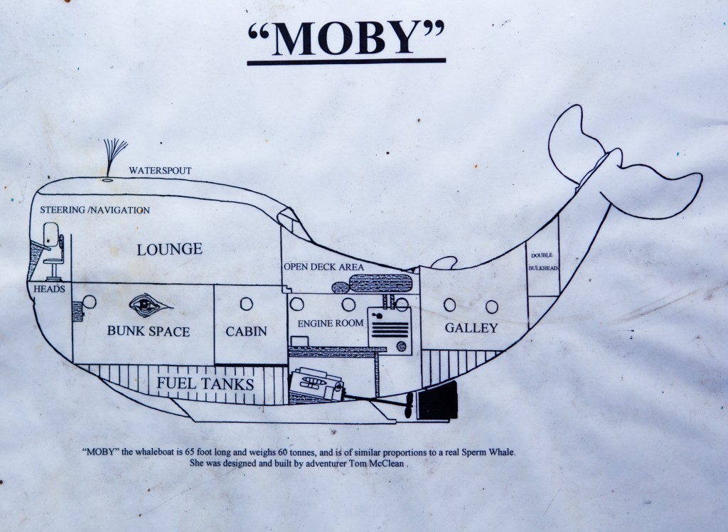 Map of Moby (Andrew Cawley / DC Thomson)