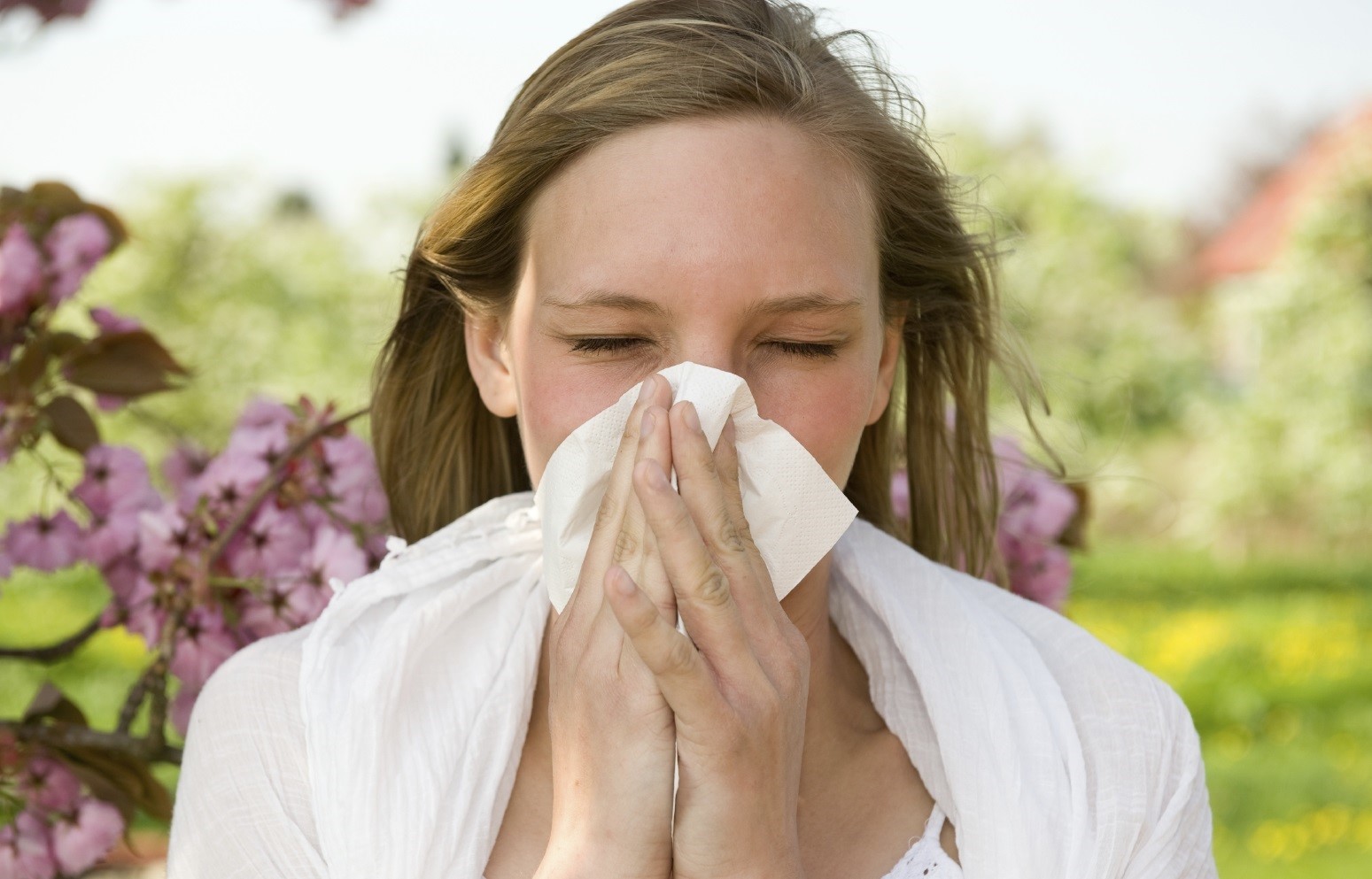 Good news for hay fever sufferers