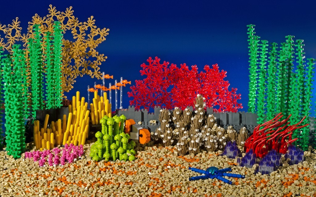 Great Barrier Reef model
