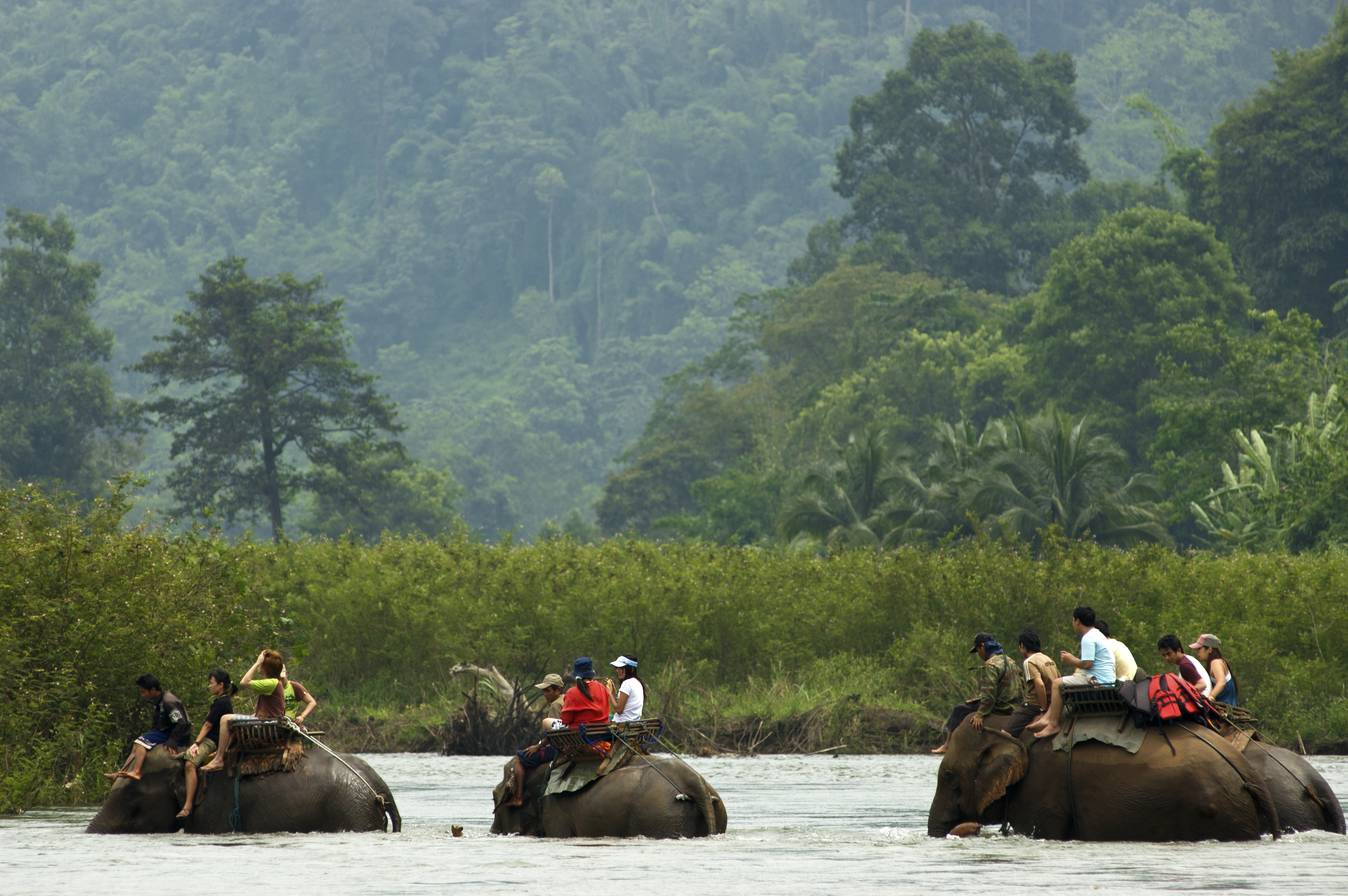 Elephant riding (Raweewan Thongsrimadun)