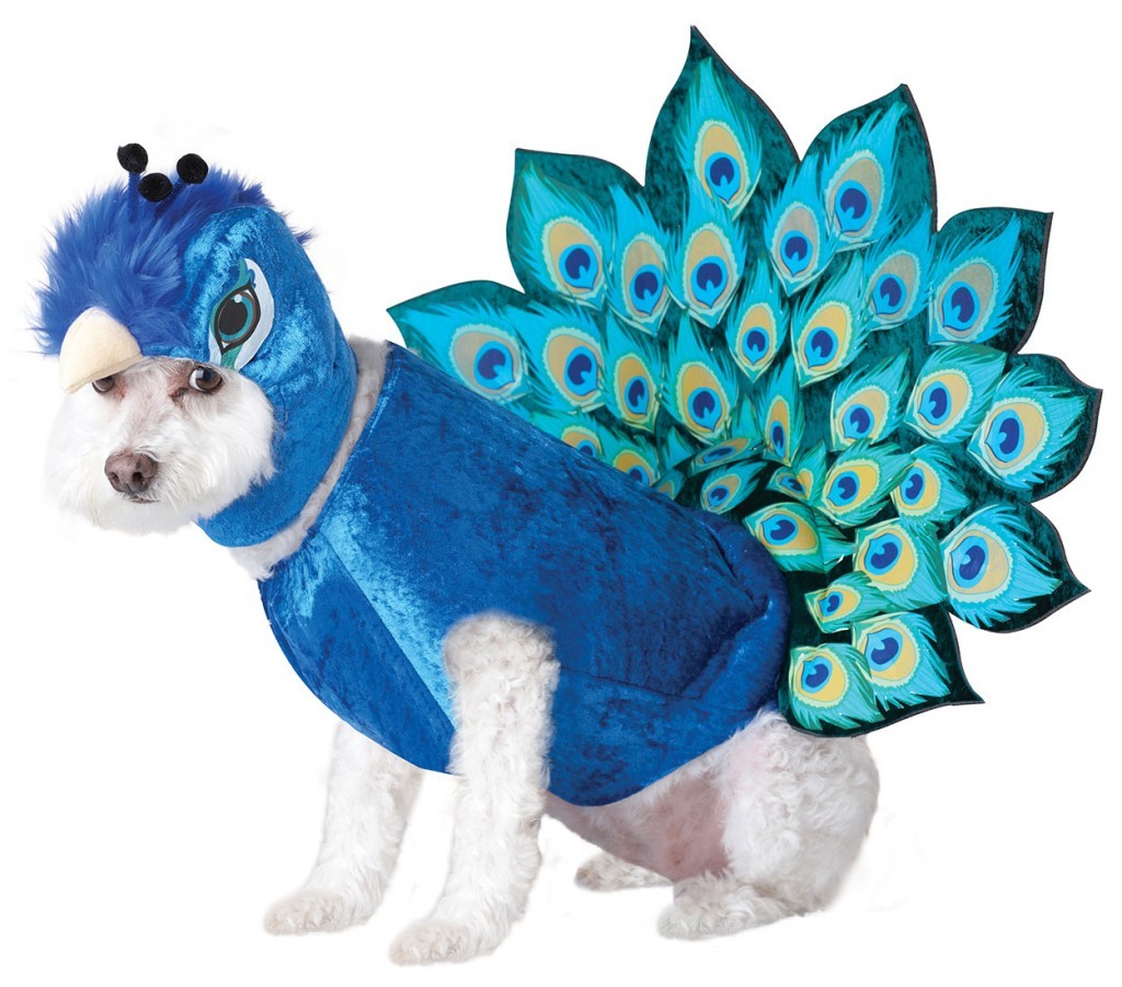 PET20117-Peacock-Dog-Costume-large.jpg