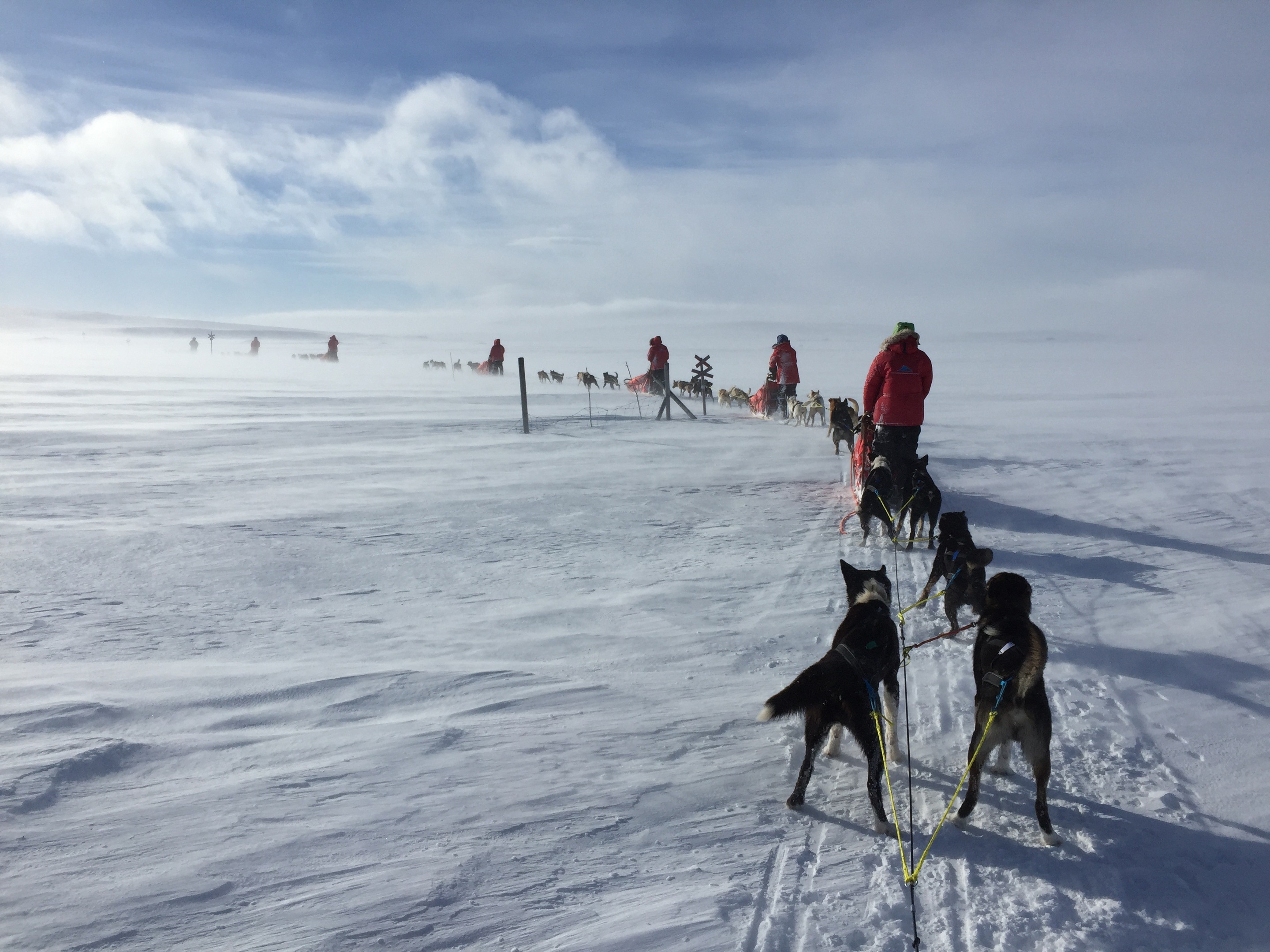 The team took their sleds across freezing Arctic terrain