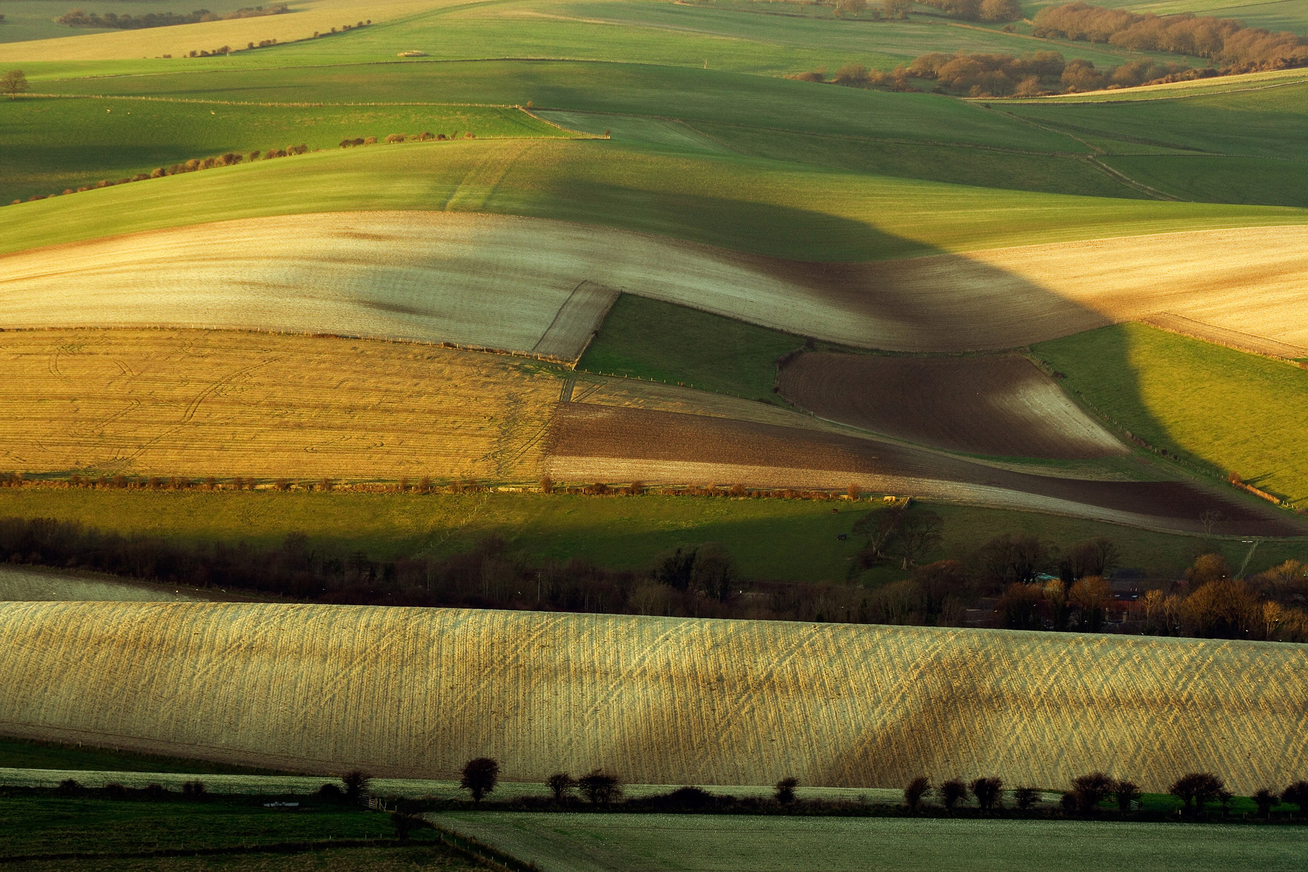 South Downs, East Sussex (Slawek Staszczuk)