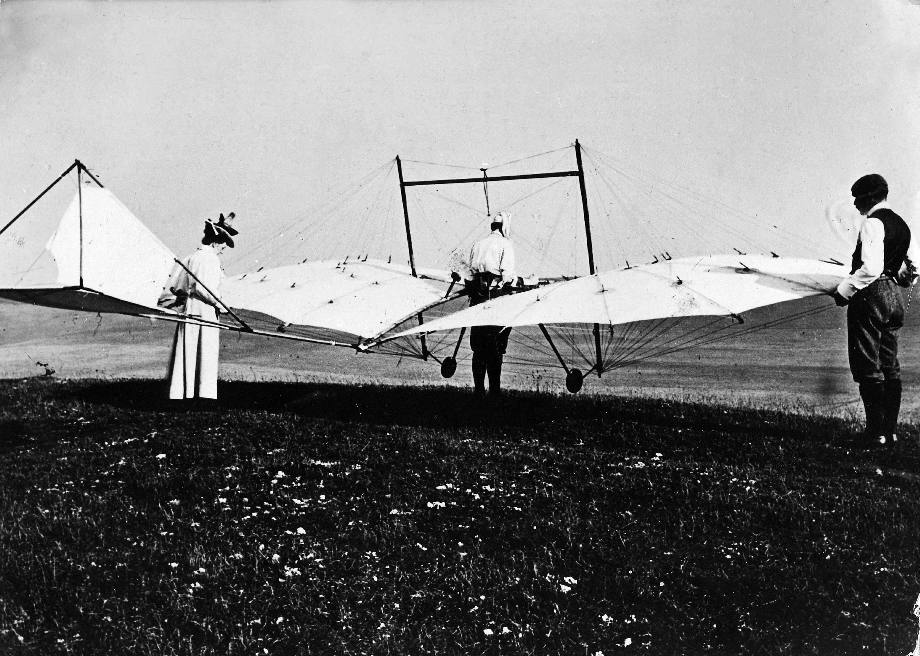 Pilcher's Hawk (ullstein bild/ullstein bild via Getty Images)