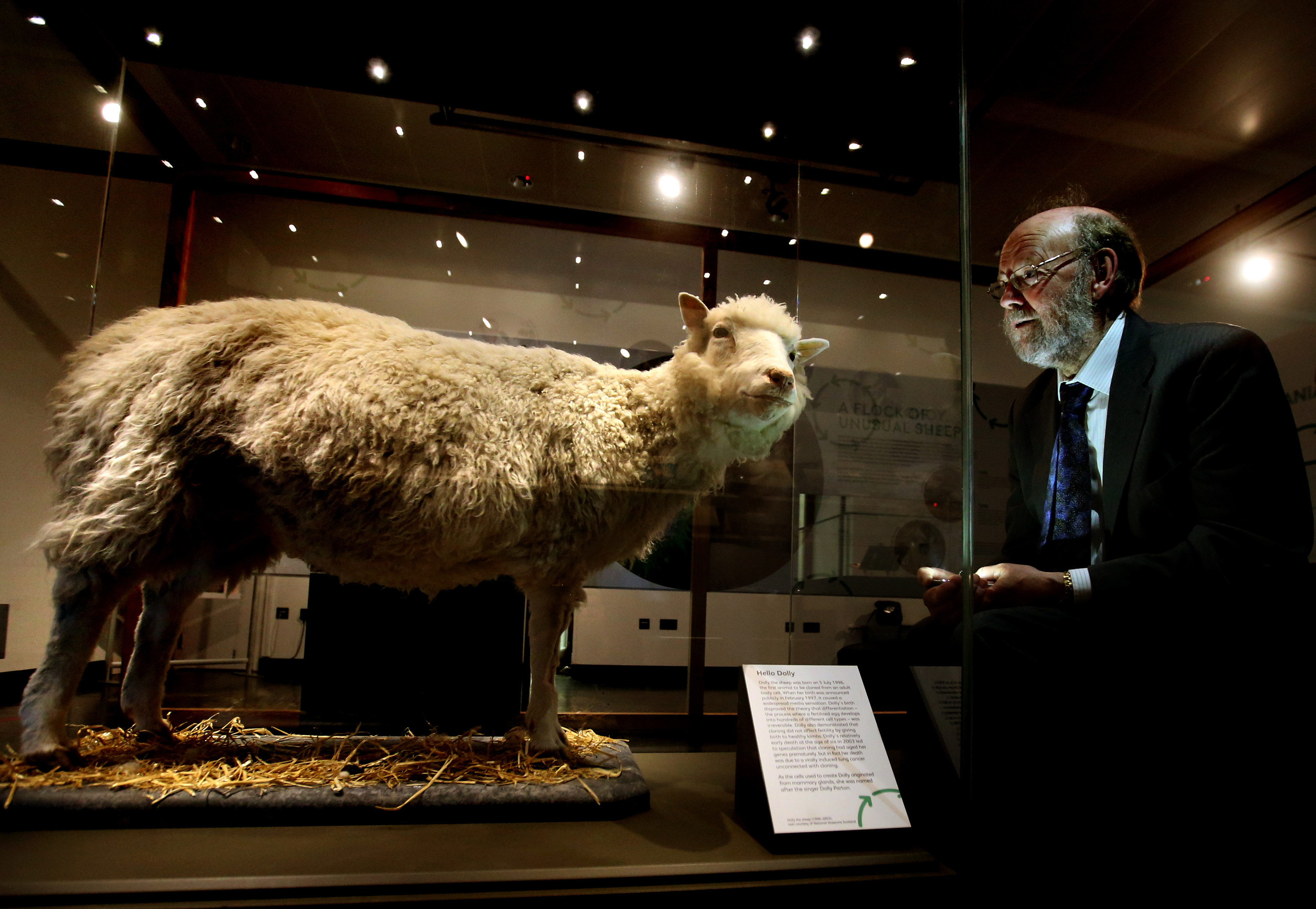 Dolly with British embryologist Professor Sir Ian Wilmut (PA)