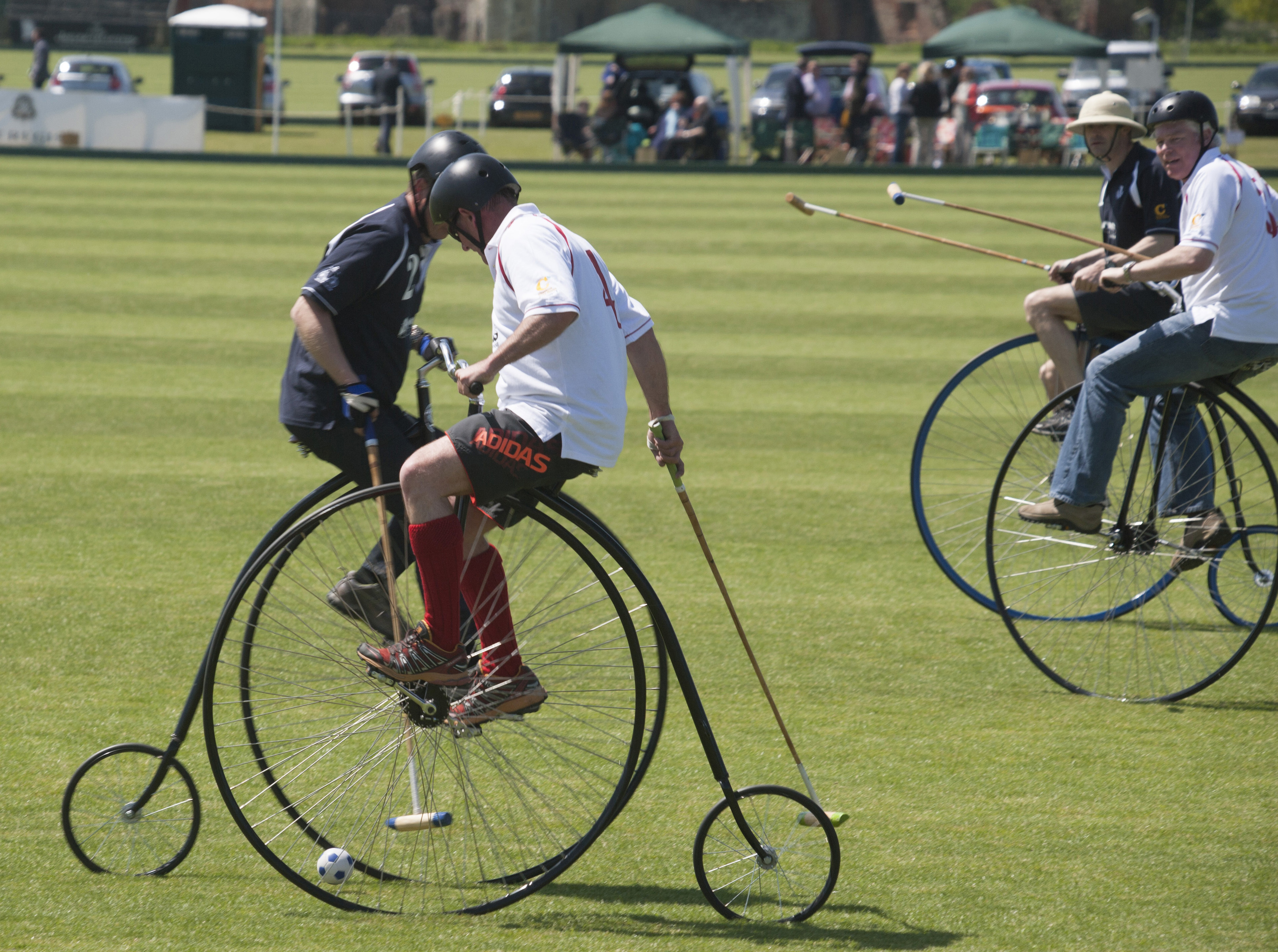 Penny-farthing polo match between England and Scotland (Graham Franks Photography)