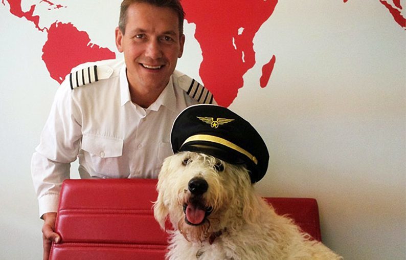 Adam Twidell of PrivateFly with labradoodle Tex, who is a regular presence in their offices.