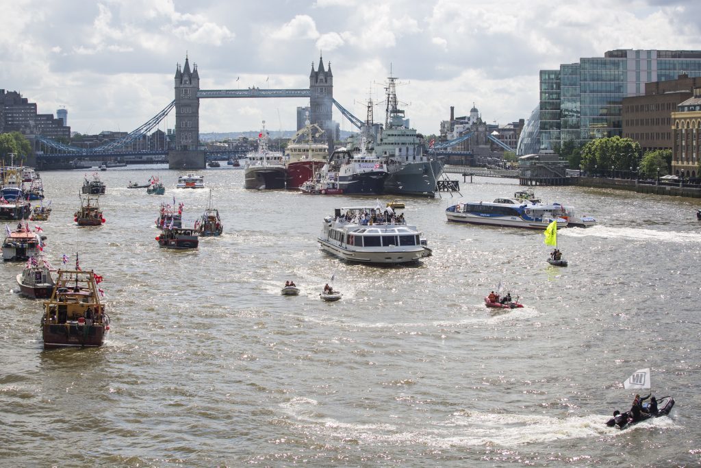 Flotilla along the Thames (Jack Taylor/Getty Images)