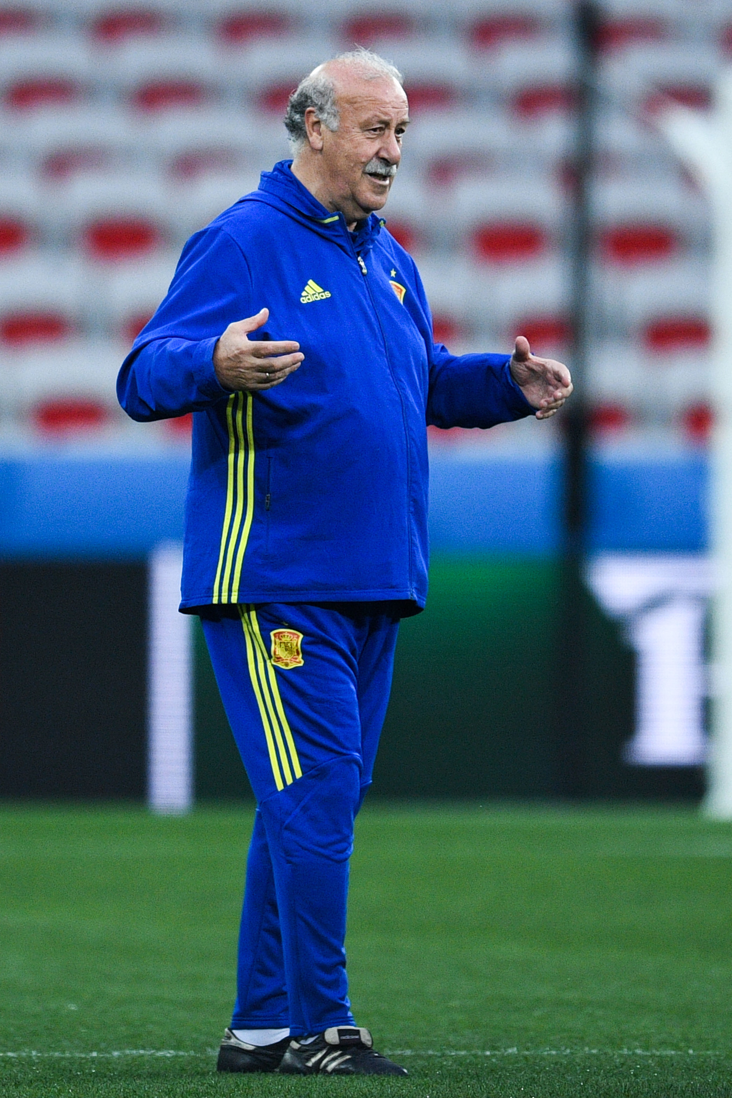 Head coach Vicente Del Bosque of Spain (David Ramos/Getty Images)