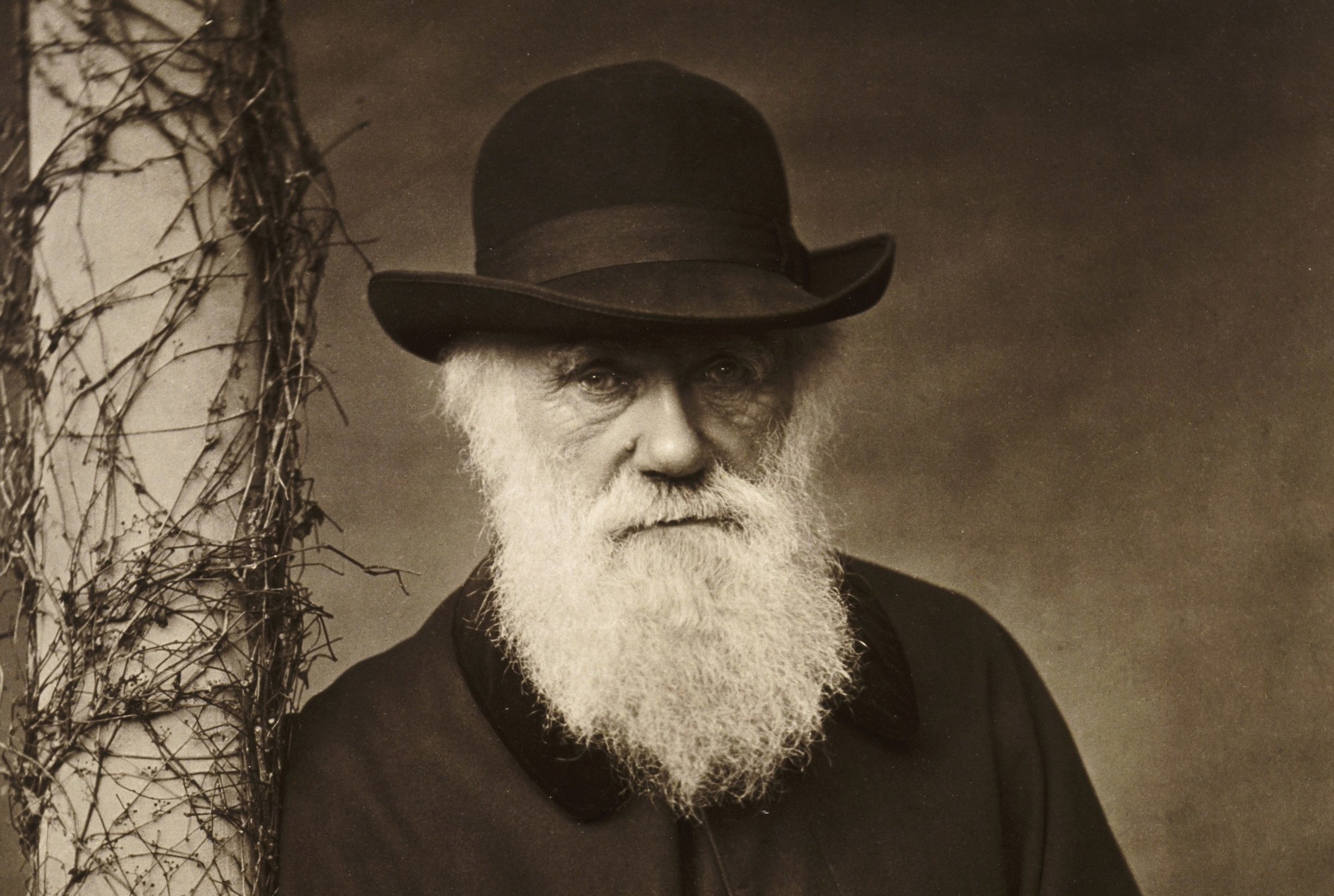 Charles Darwin (English Heritage/PA)