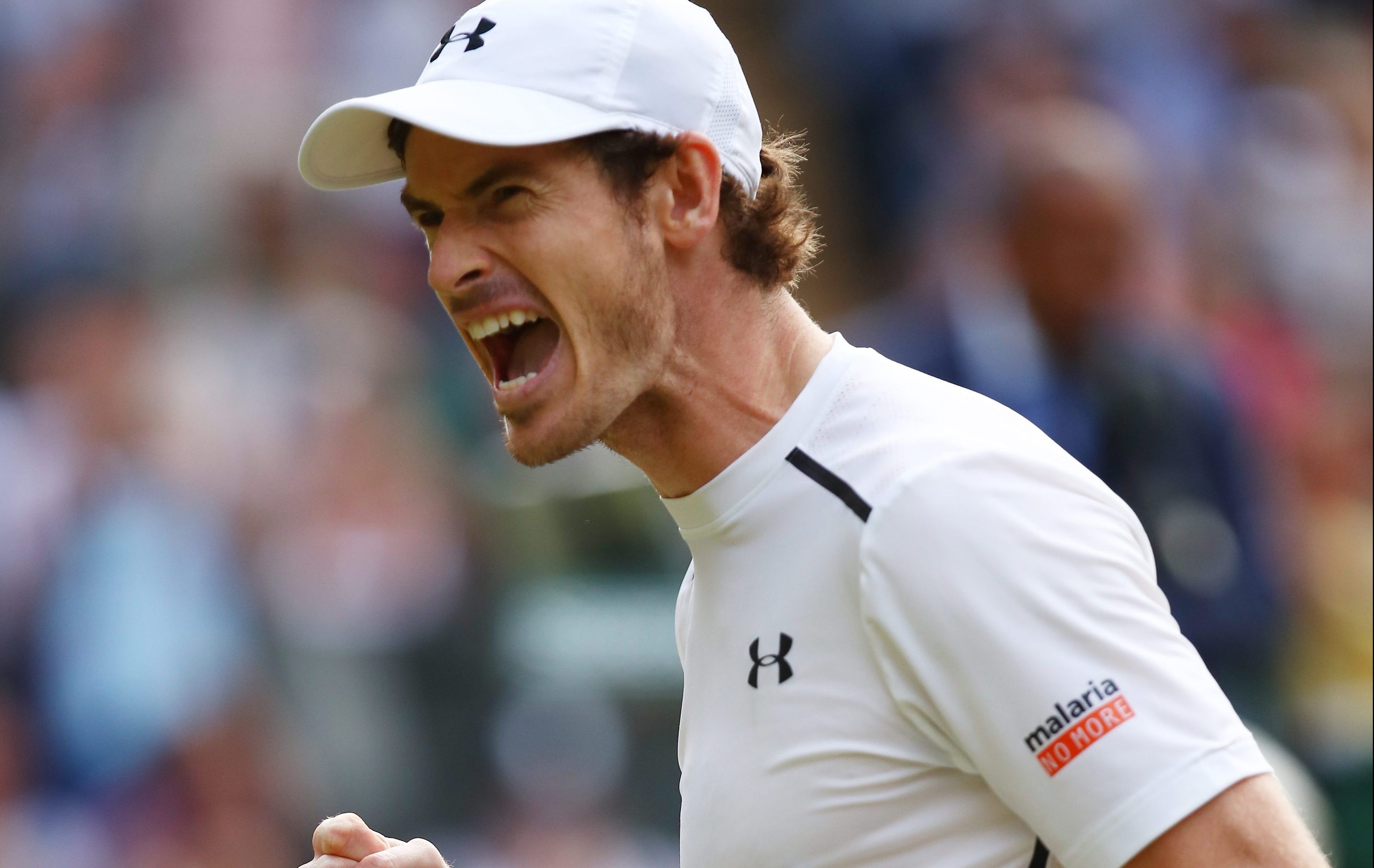 Andy Murray at Wimbledon (Clive Brunskill/Getty Images)