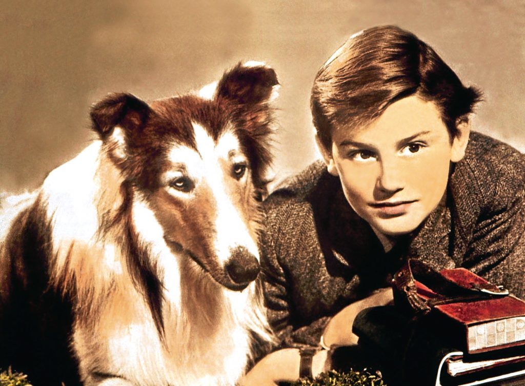 Lassie and Roddy McDowall (Allstar)