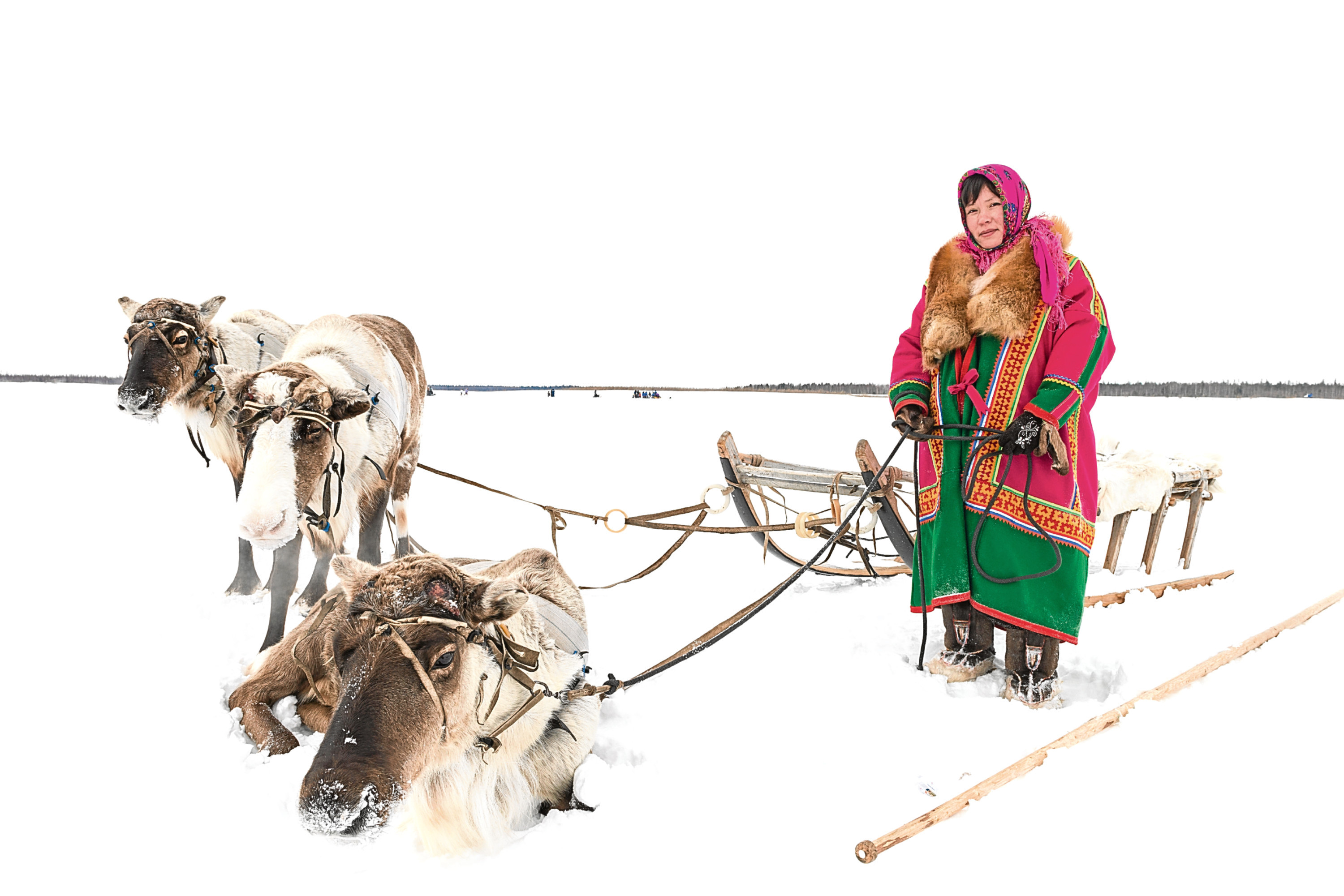 Woman with reindeer team on the Yamal Peninsula