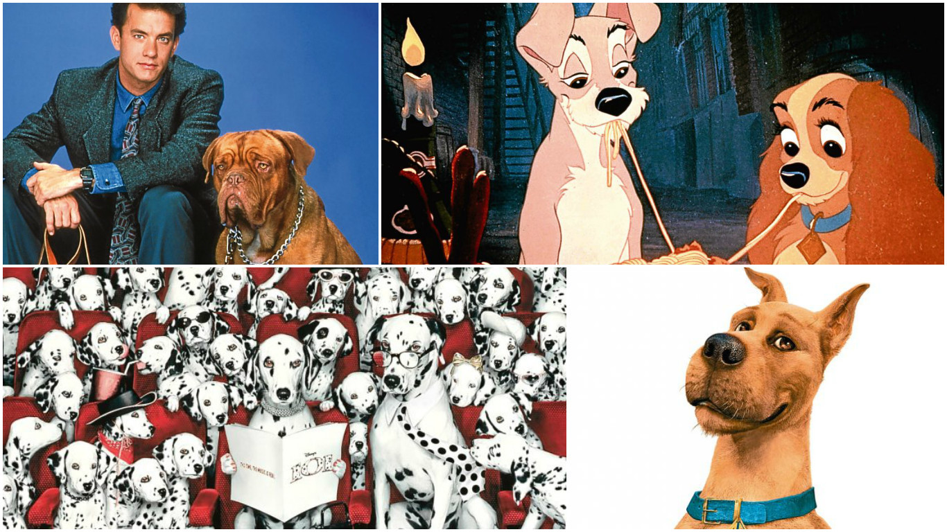 Canine stars of film (Allstar)