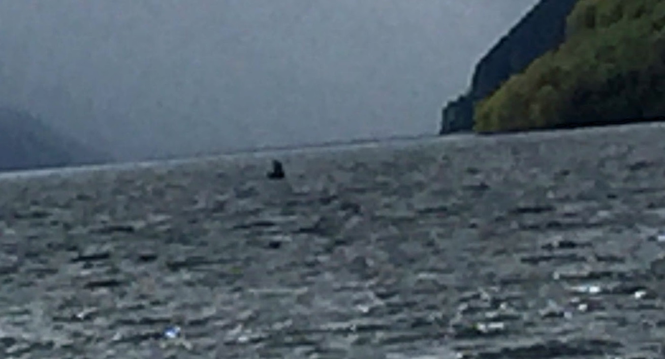 Loch Ness Monster Sighting