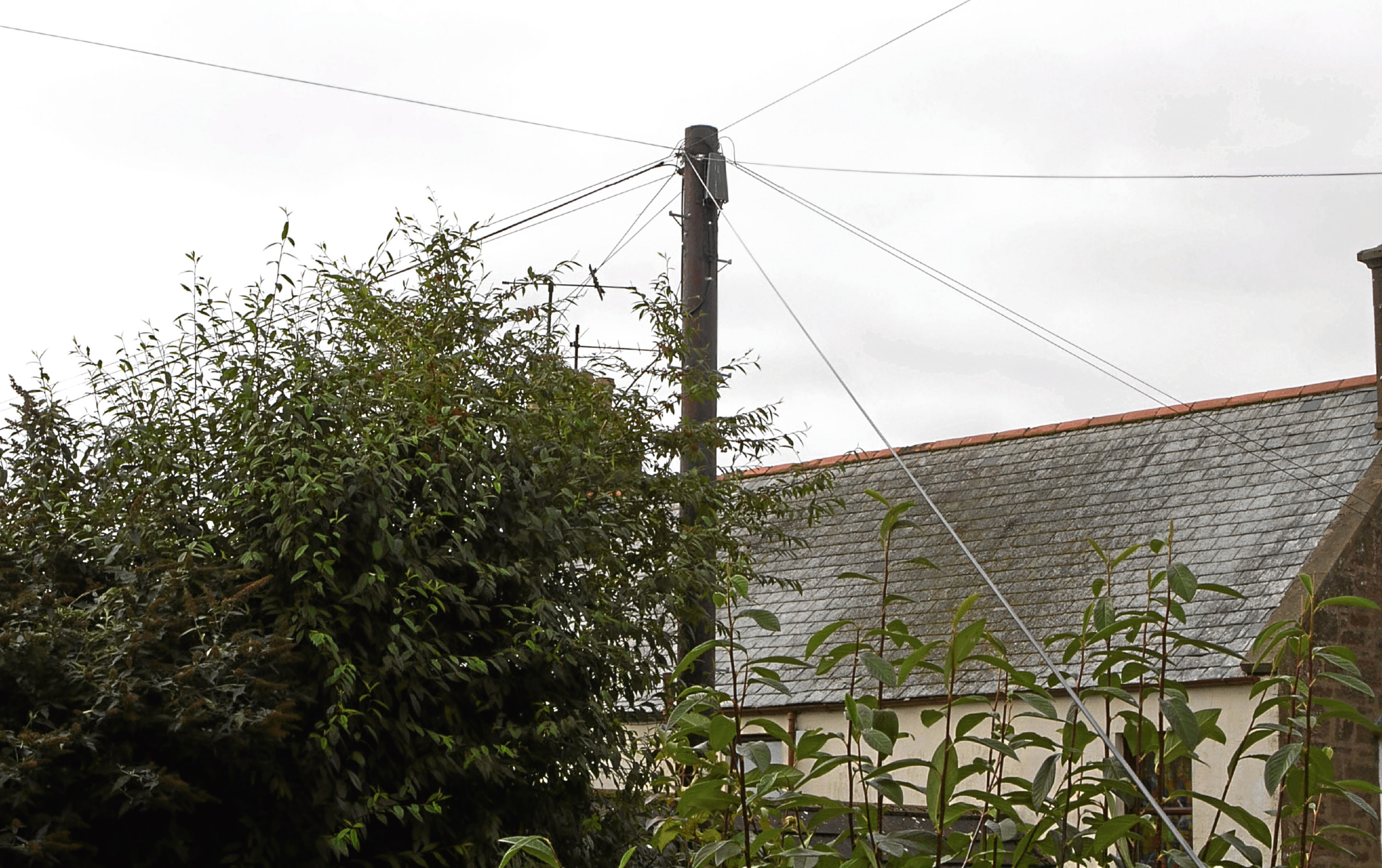 Sandy Massie needed a new phone line put in place in his back garden (although the pole was actually situated in a neighbour's garden)