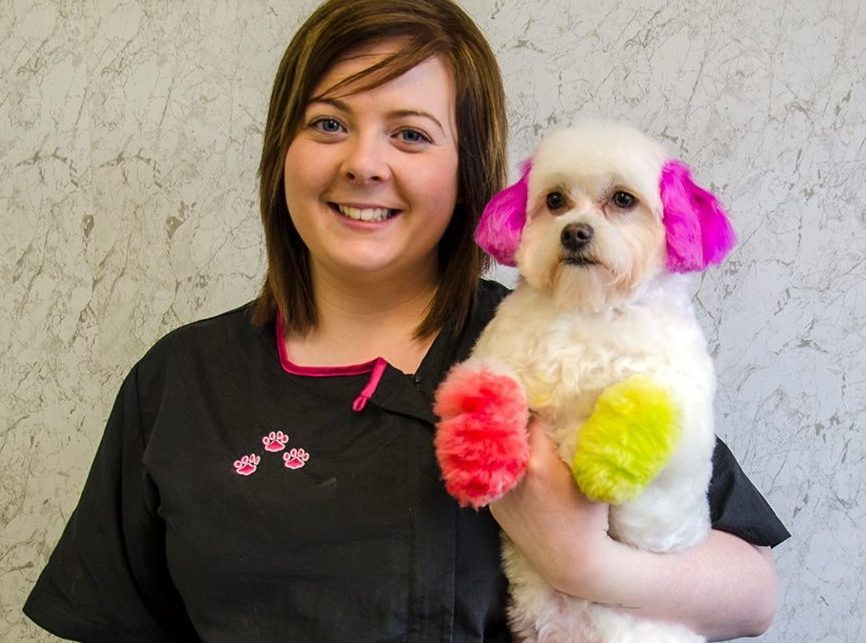 Danielle Murphy, who works in her mother's dog grooming salon (Pampers Dog Grooming)