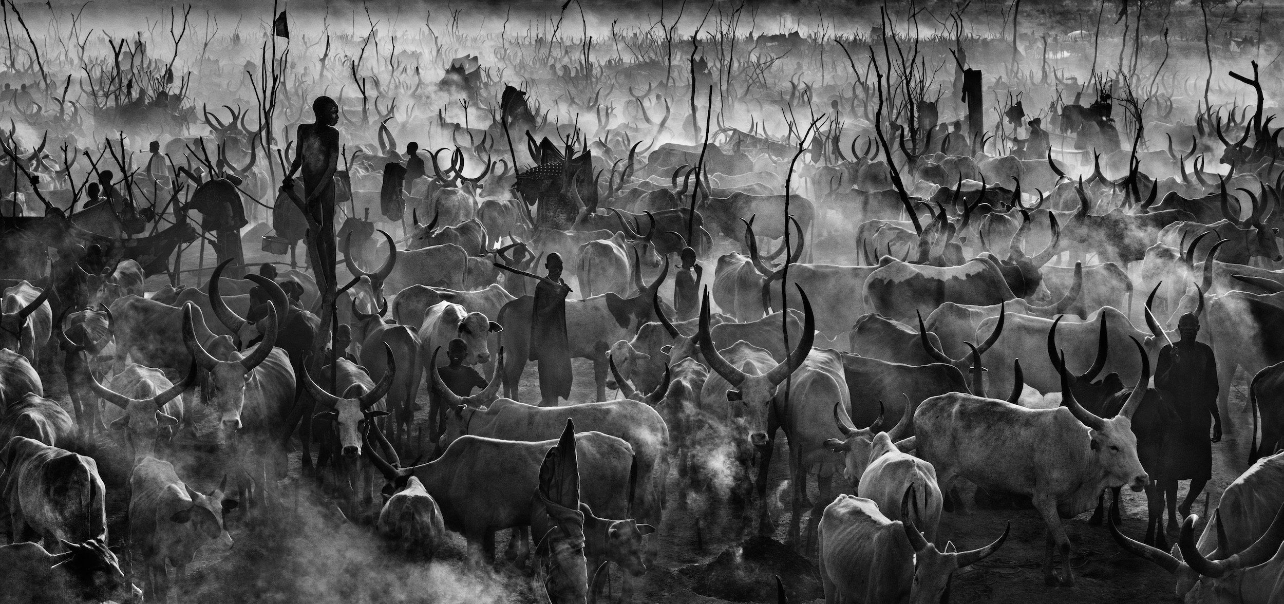 (David Yarrow)