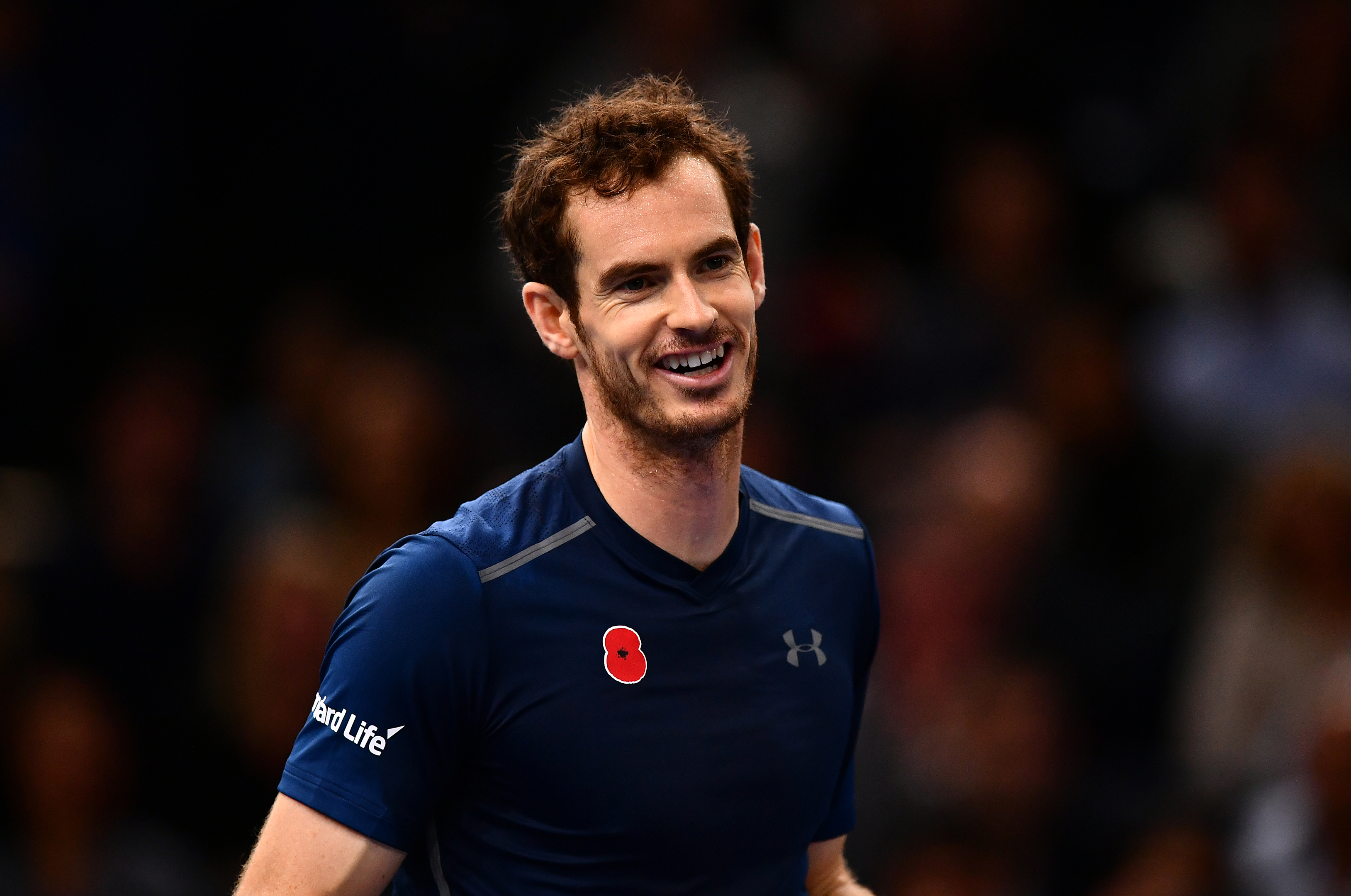 Andy Murray (Dan Mullan/Getty Images)