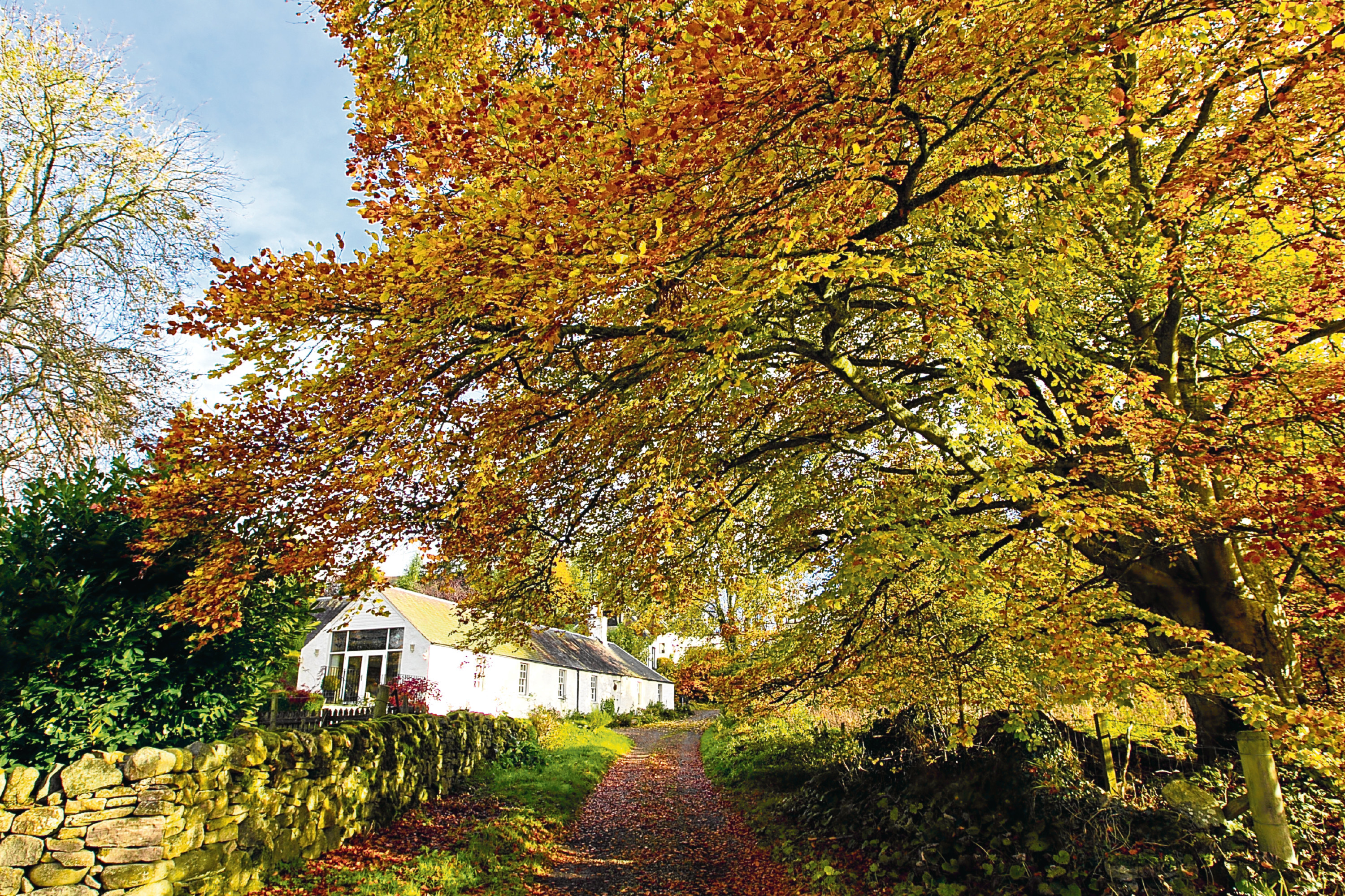 Cottage near River Tay, near Scone  (Andrew Cawley / DC Thomson)